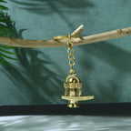 Shivling Trishul Metal Keychain Set (5 Pc Mix Design)