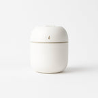 Portable Mini USB Humidifier with Light – Cool Mist & Essential Oil Diffuser (250ML)
