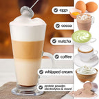 Handheld Mixing & Frothing Blender (1 Pc)